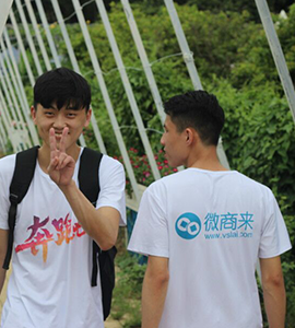 团队