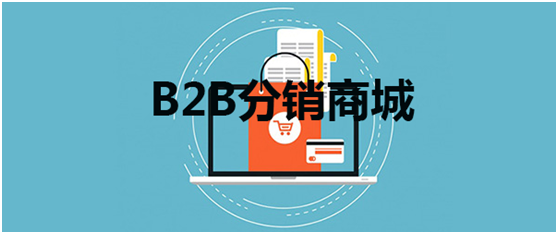 B2B分销商城系统怎么选？