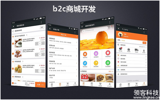 b2c商城开发方案怎么做？